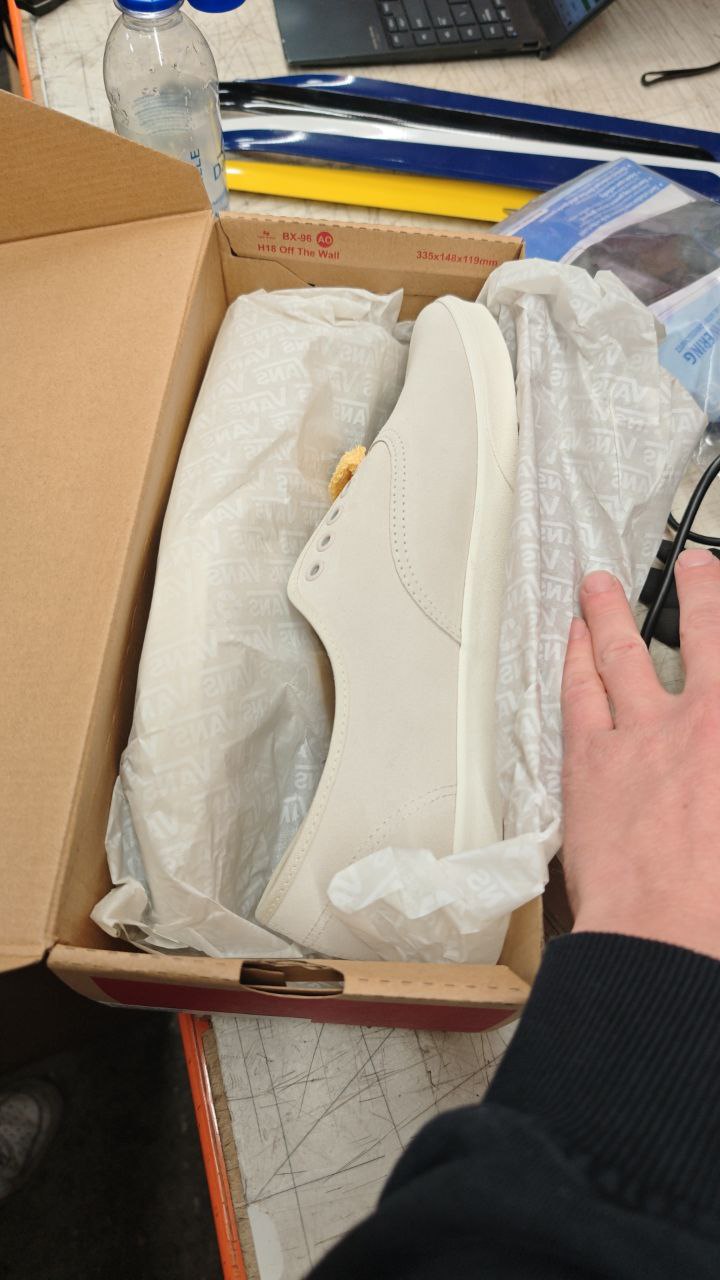 Vans Authentic Lowpro