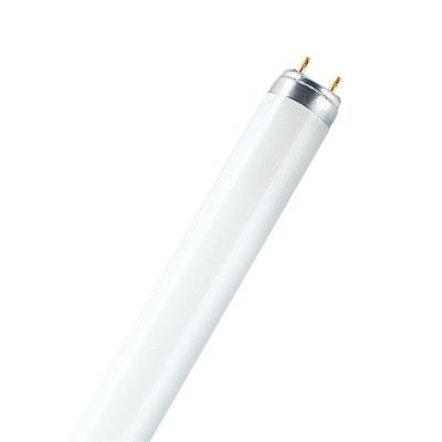 Osram T8 Lumilux Basic 30W - 840 Koel Wit | 90 cm